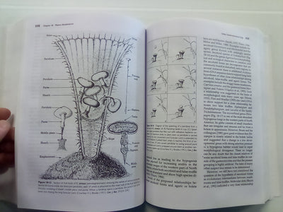 Introductory Mycology by Alexopoulos, Mims, & Blackwell