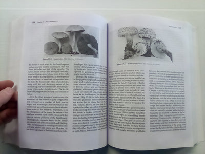 Introductory Mycology by Alexopoulos, Mims, & Blackwell