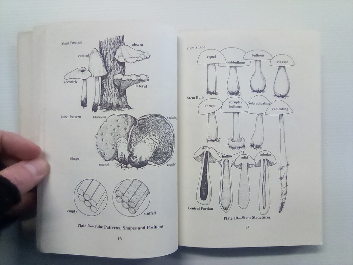 Poisonous & Hallucinogenic Mushrooms (1980) by Richard and Karen Haard