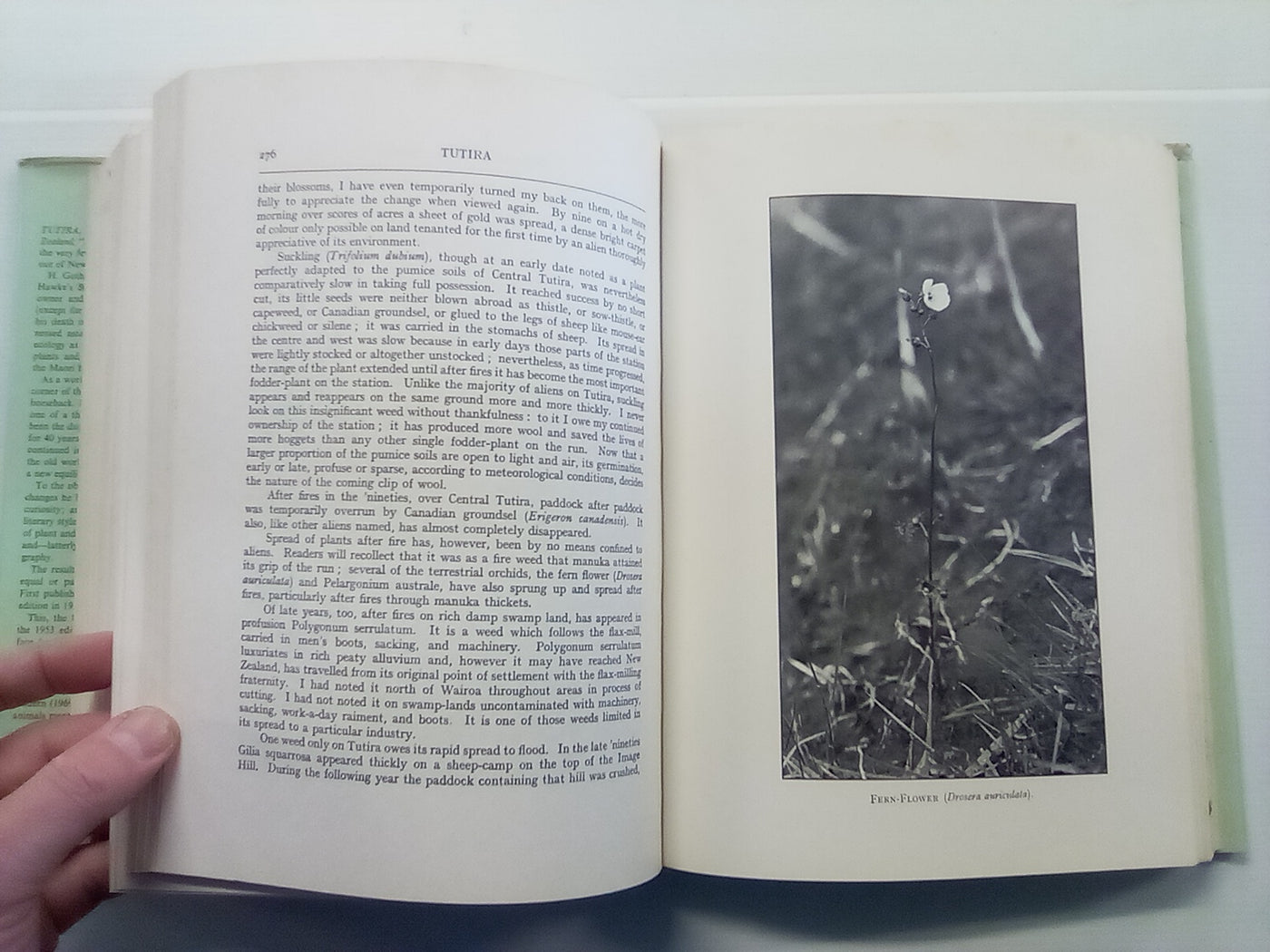 Tutira - The Story of a New Zealand Sheep Station (1969) by H. Guthrie-Smith