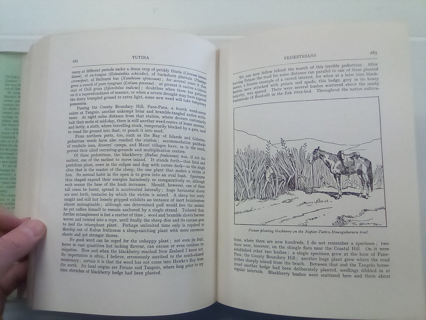 Tutira - The Story of a New Zealand Sheep Station (1969) by H. Guthrie-Smith