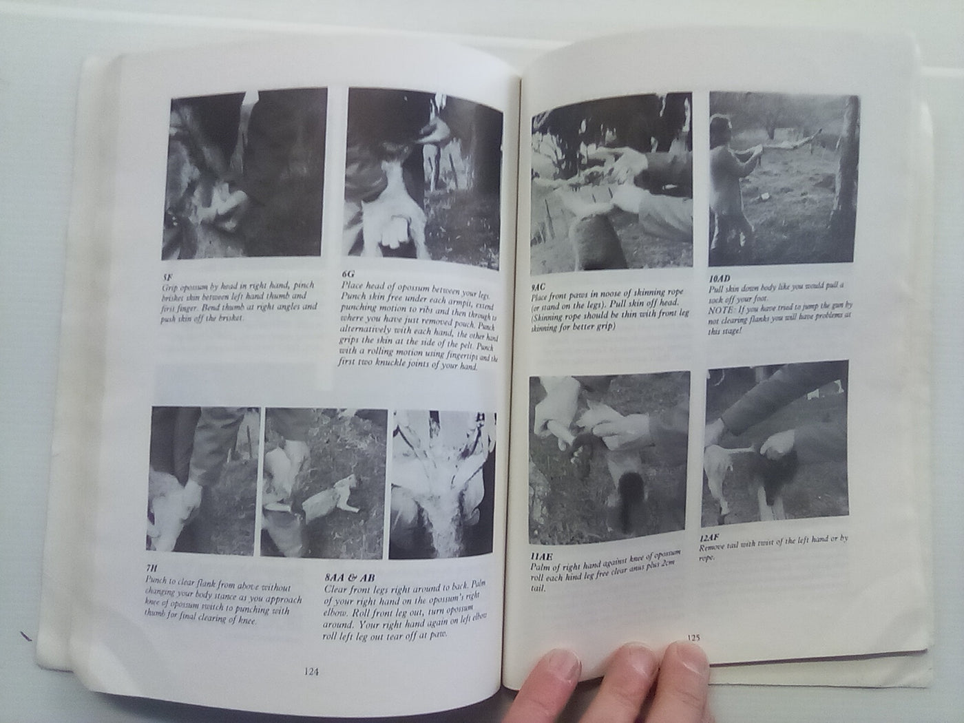 Commercial Opossum Hunting by D.J. Moresby