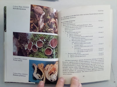 Poisonous & Hallucinogenic Mushrooms (1980) by Richard and Karen Haard