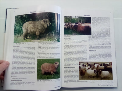 The World of Coloured Sheep Edited by R.S. Lundie & E.J. Wilkinson