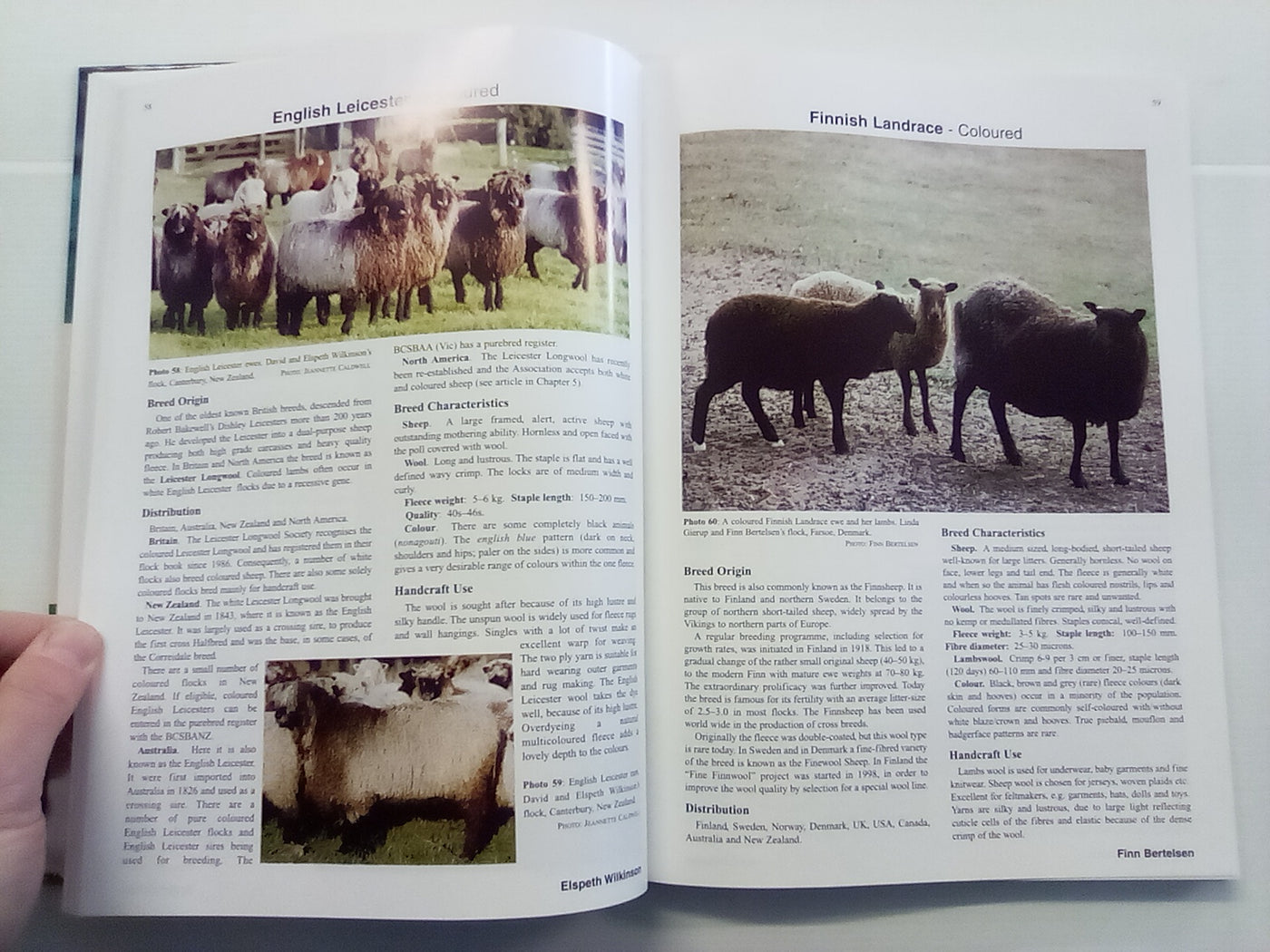The World of Coloured Sheep Edited by R.S. Lundie & E.J. Wilkinson