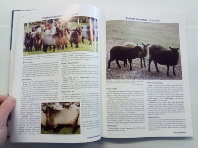 The World of Coloured Sheep Edited by R.S. Lundie & E.J. Wilkinson