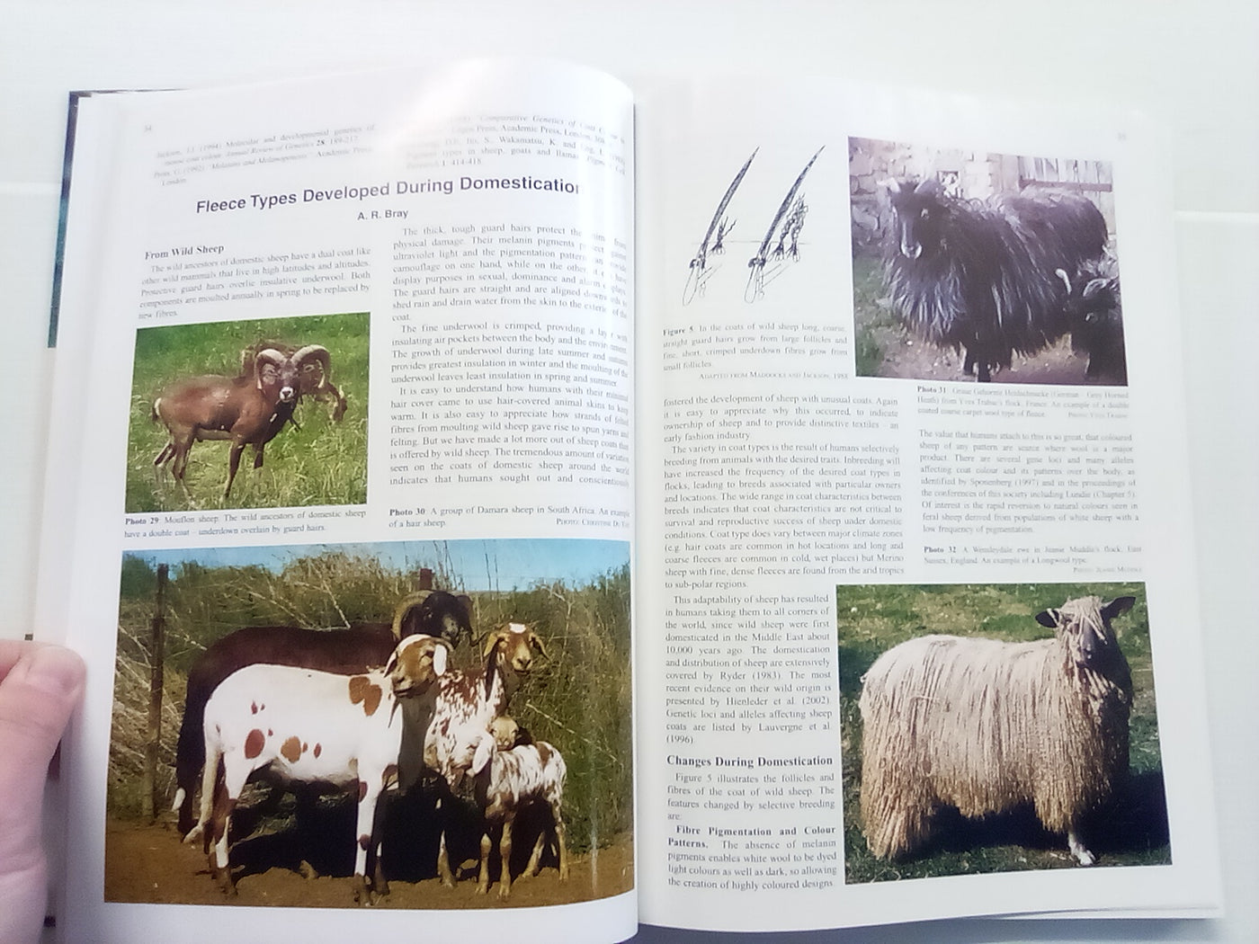 The World of Coloured Sheep Edited by R.S. Lundie & E.J. Wilkinson