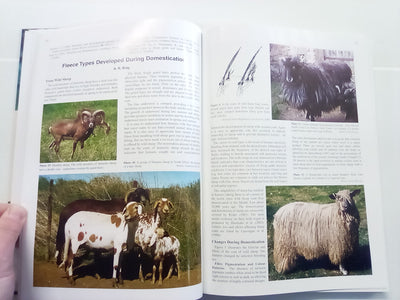 The World of Coloured Sheep Edited by R.S. Lundie & E.J. Wilkinson
