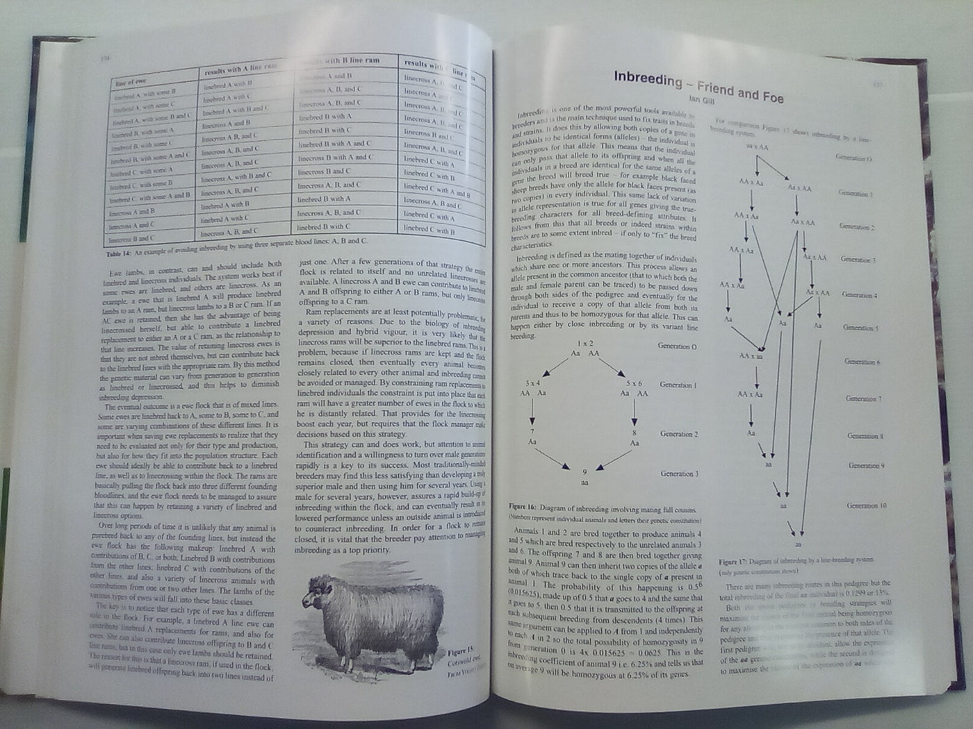 The World of Coloured Sheep Edited by R.S. Lundie & E.J. Wilkinson
