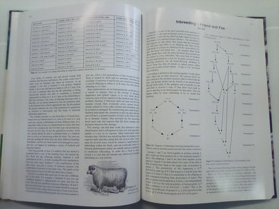 The World of Coloured Sheep Edited by R.S. Lundie & E.J. Wilkinson