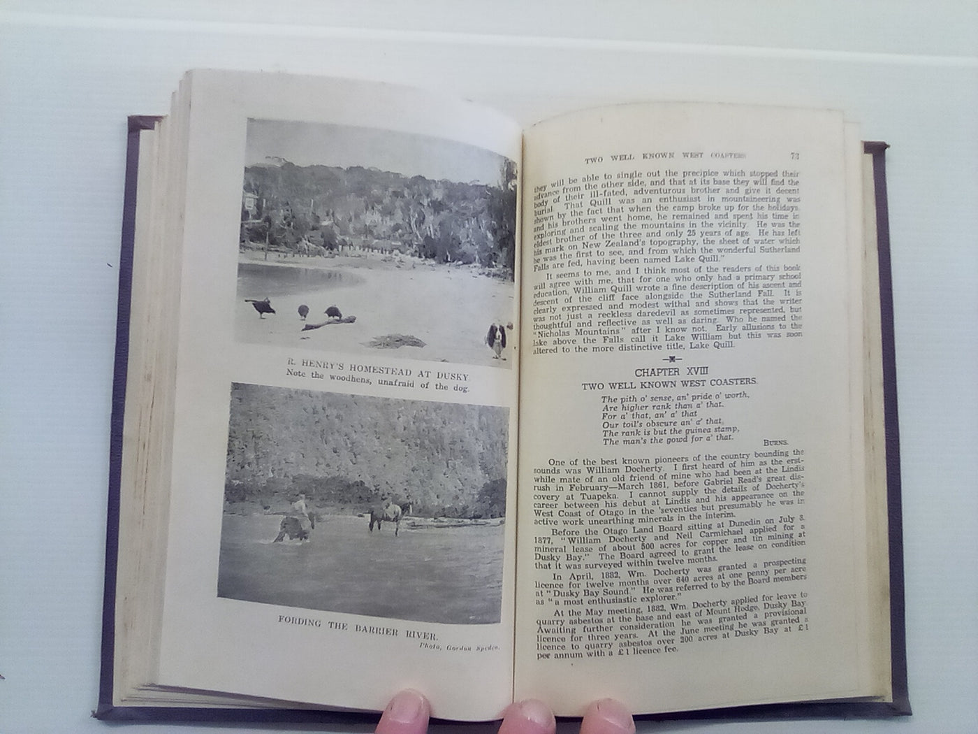 Far-Famed Fiordland (1950) by Herries Beattie
