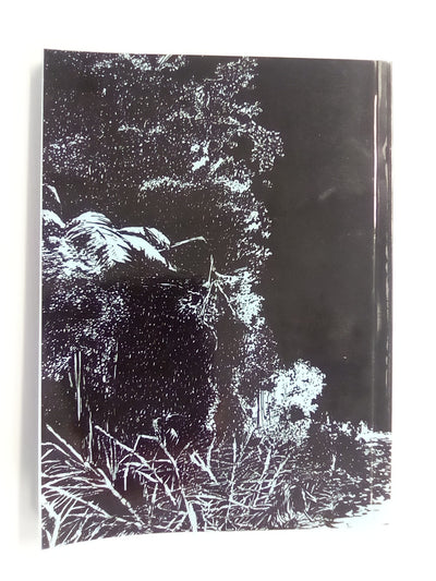 The Clearing - A History of Opunake by Kate Mickelson