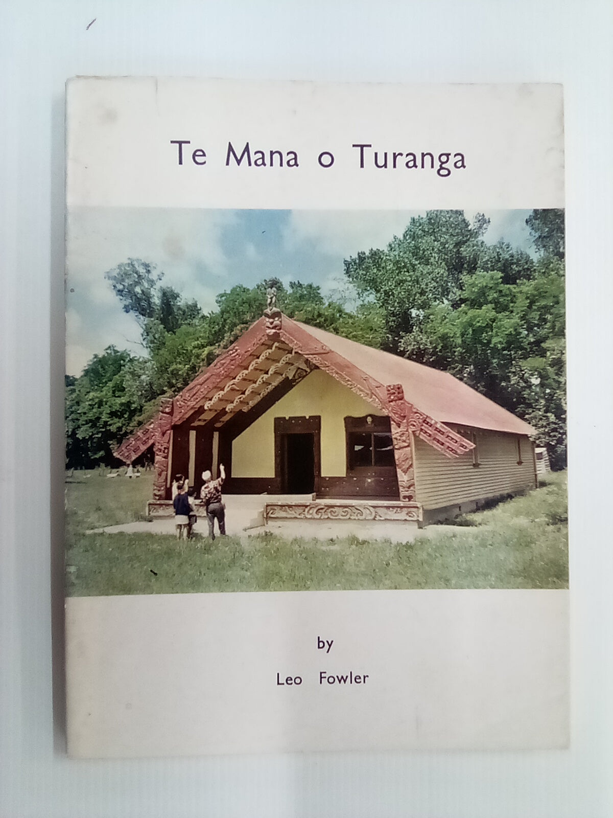 Te Mana O Turanga (Whakato Marae, Gisborne) by Leo Fowler