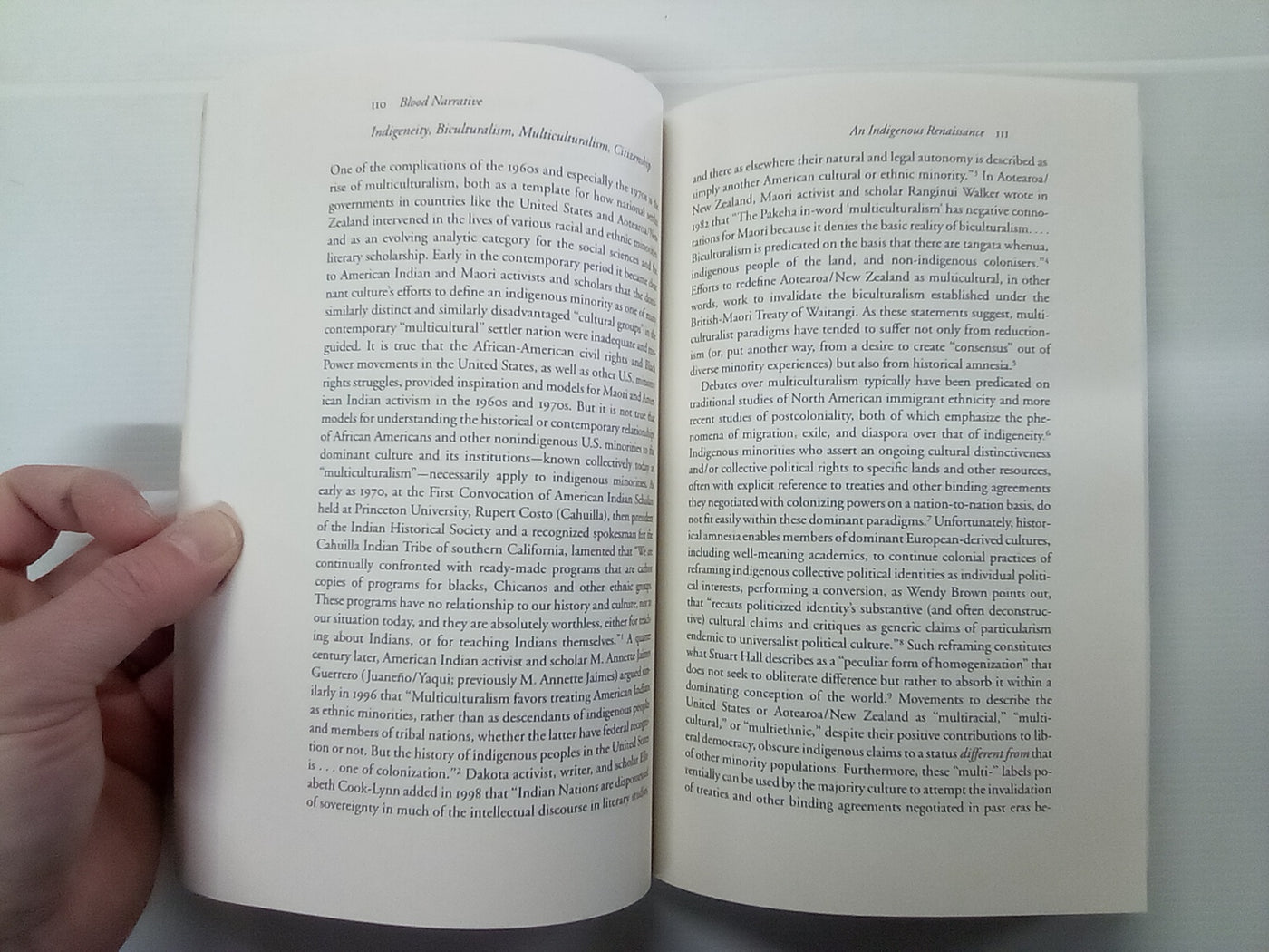 Blood Narrative - Indigenous Identity in American Indian & Māori Literary and Activist Texts by Chadwick Allen