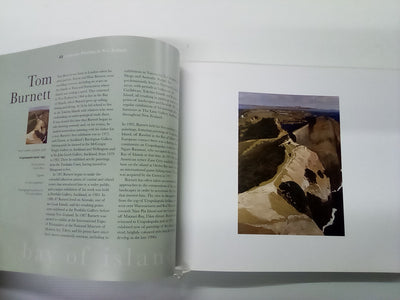 Landscape Paintings of New Zealand - A journey from North to South by Christopher Johnstone
