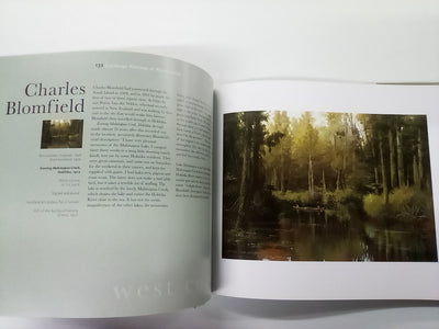 Landscape Paintings of New Zealand - A journey from North to South by Christopher Johnstone