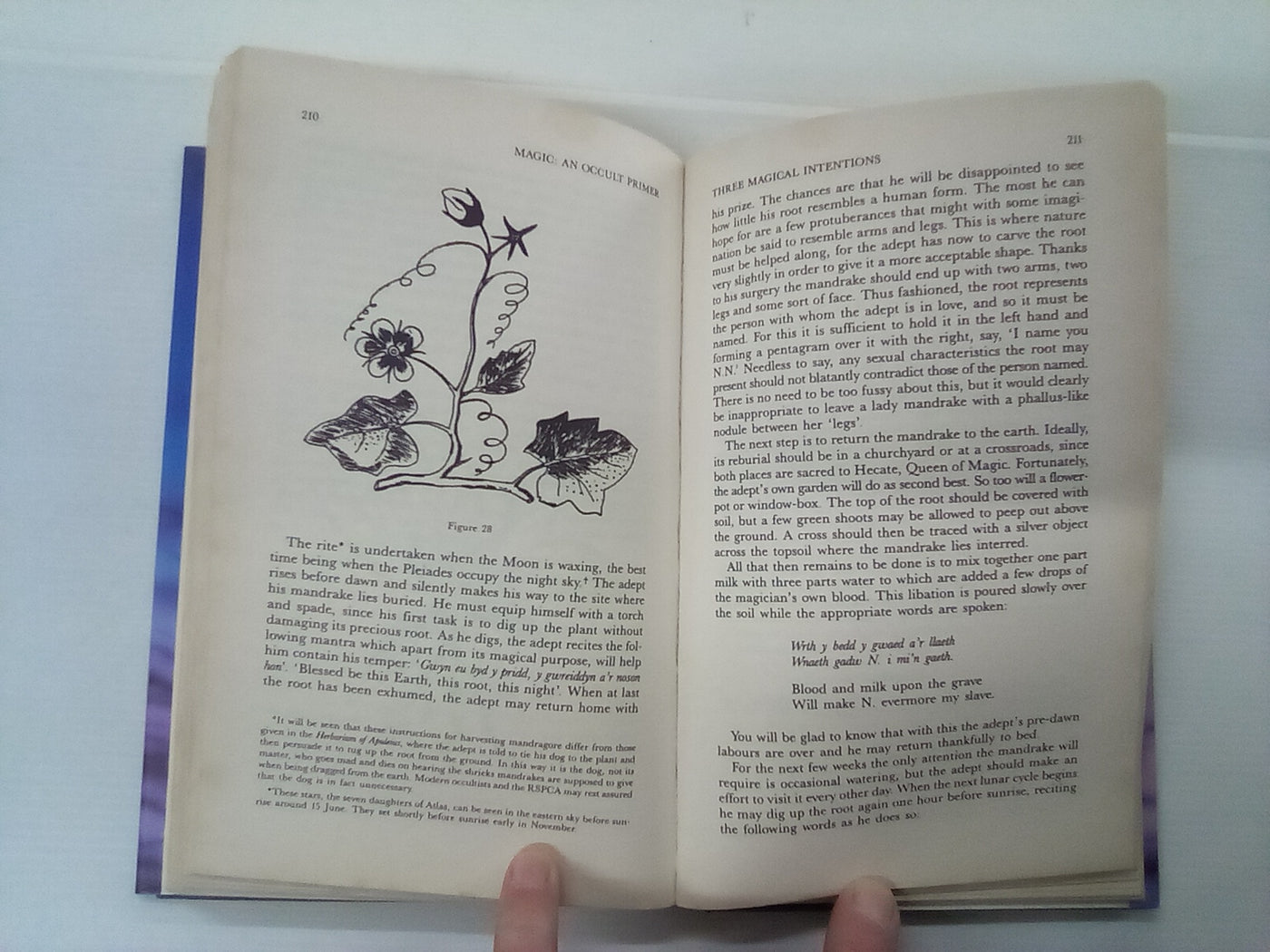 Magic - An Occult Primer by David Conway