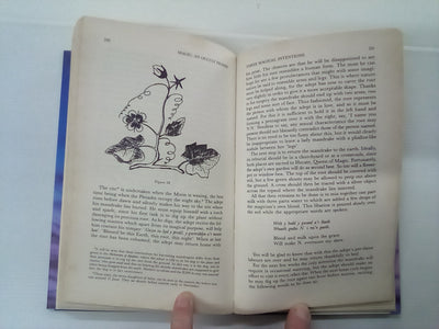 Magic - An Occult Primer by David Conway