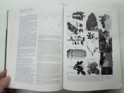 Forest Trees of Australia - Fifth Edition