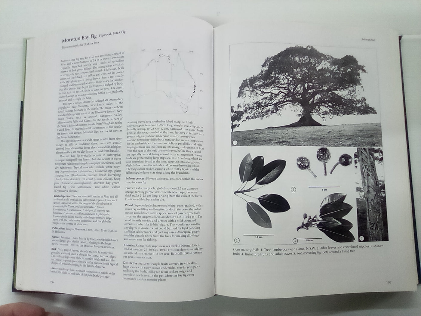 Forest Trees of Australia - Fifth Edition
