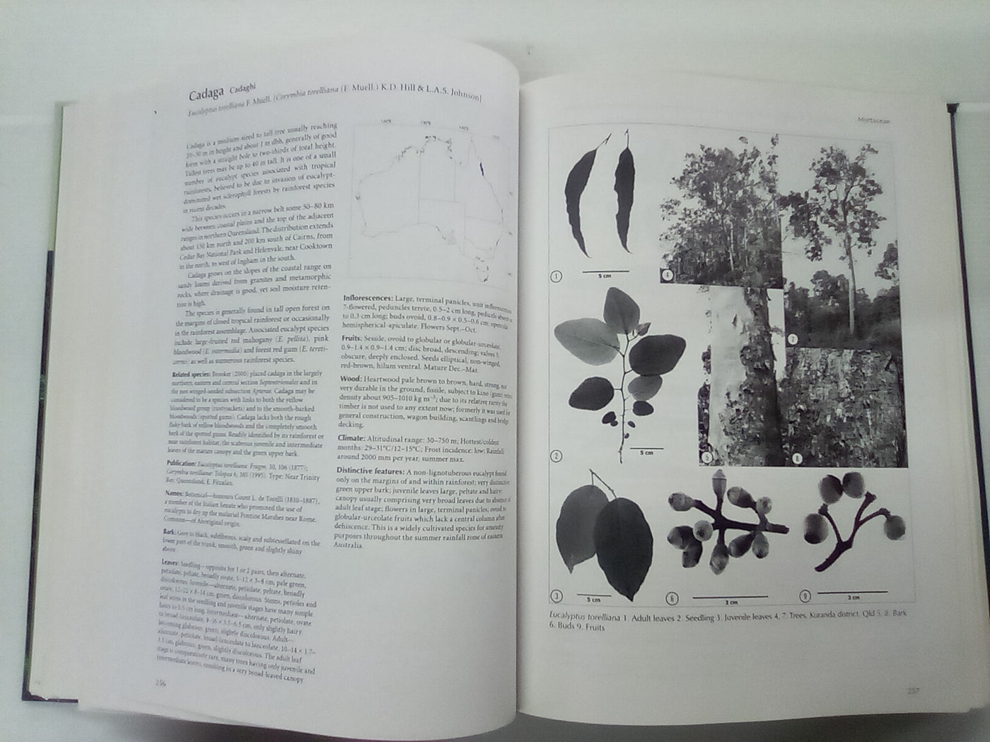 Forest Trees of Australia - Fifth Edition