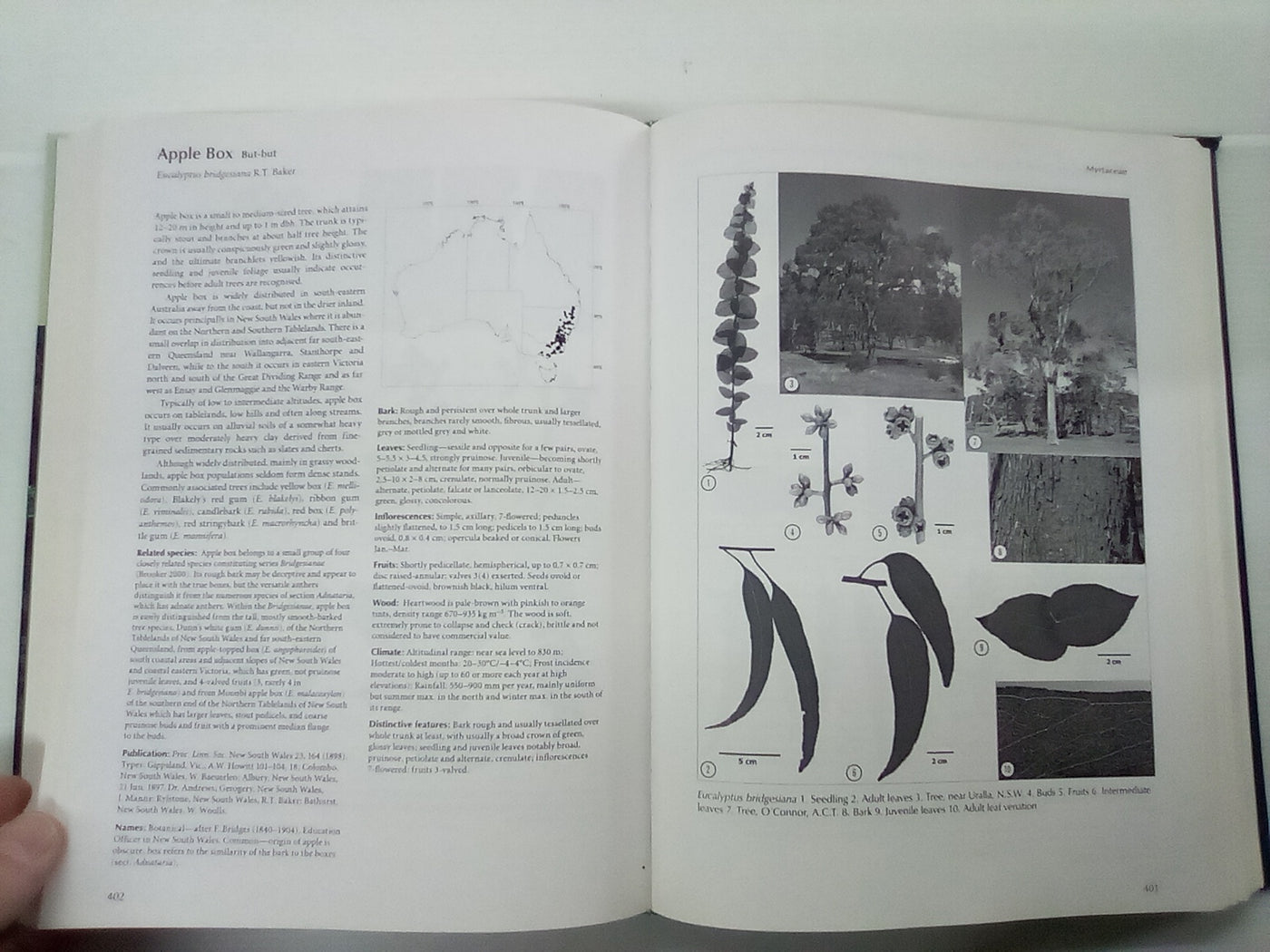 Forest Trees of Australia - Fifth Edition