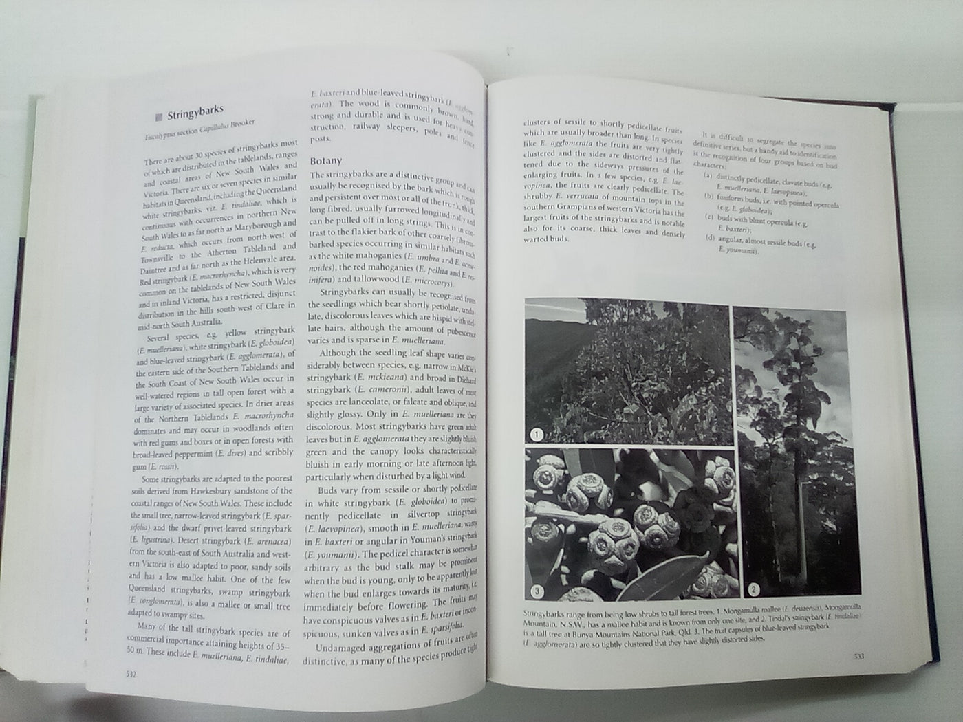 Forest Trees of Australia - Fifth Edition