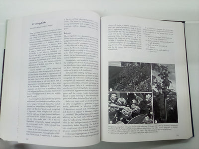 Forest Trees of Australia - Fifth Edition