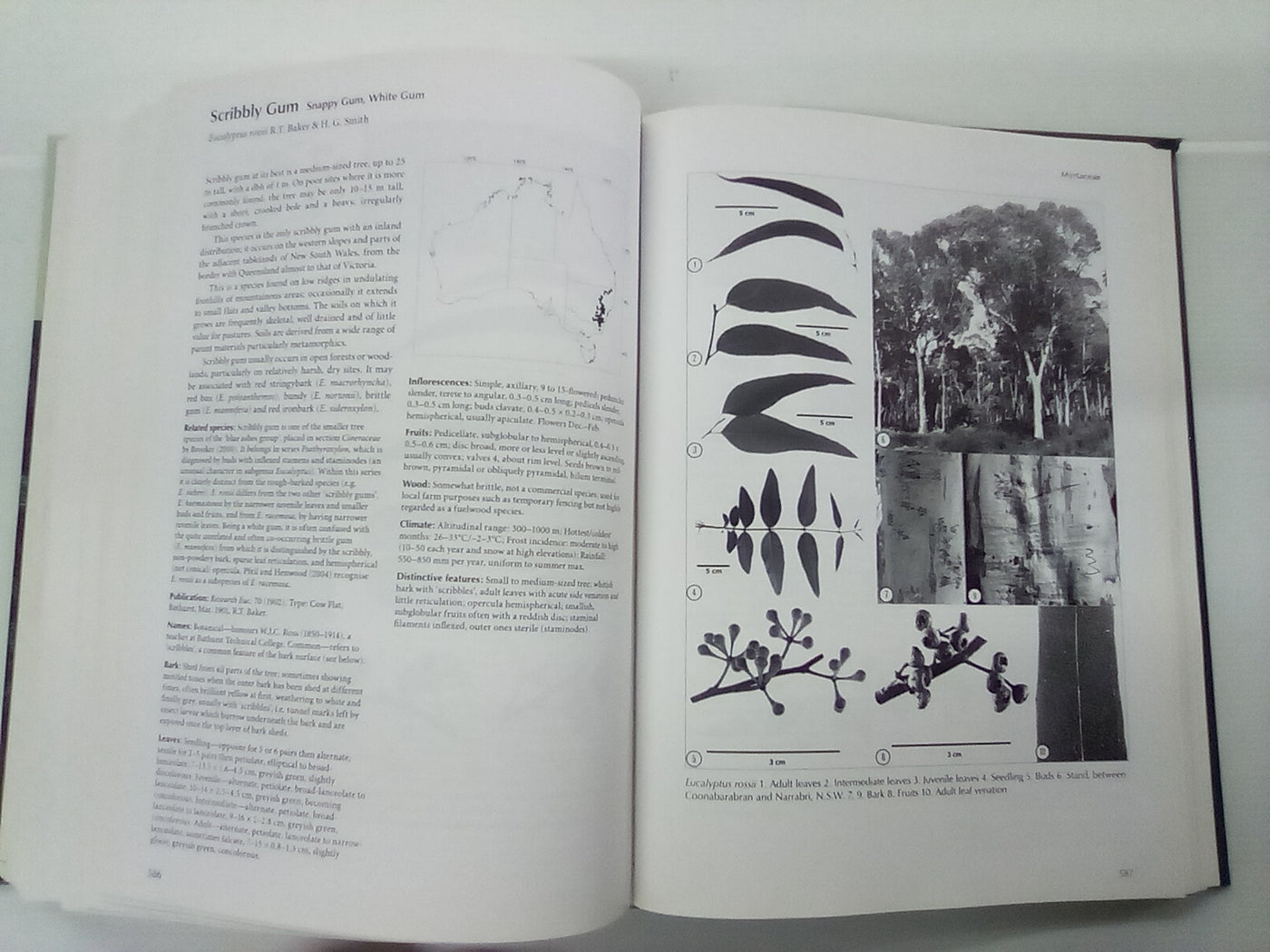 Forest Trees of Australia - Fifth Edition