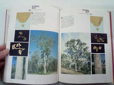 Field Guide to Eucalypts Volume 1 by Brooker and Kleinig