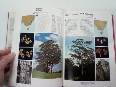 Field Guide to Eucalypts Volume 1 by Brooker and Kleinig