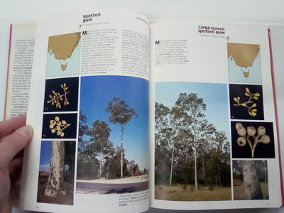 Field Guide to Eucalypts Volume 1 by Brooker and Kleinig