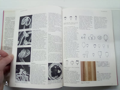 Field Guide to Eucalypts Volume 1 by Brooker and Kleinig