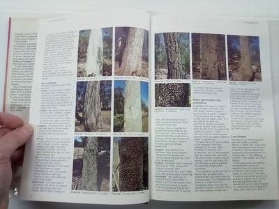 Field Guide to Eucalypts Volume 1 by Brooker and Kleinig