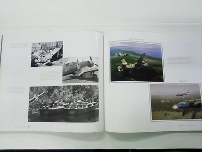 War in the Pacific Skies by C & A Cooper with the Aviation art of Jack Fellows
