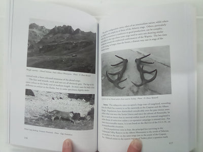 Red Deer Part 1 by Bruce Banwell