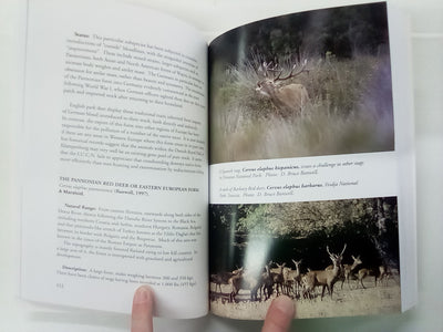 Red Deer Part 1 by Bruce Banwell