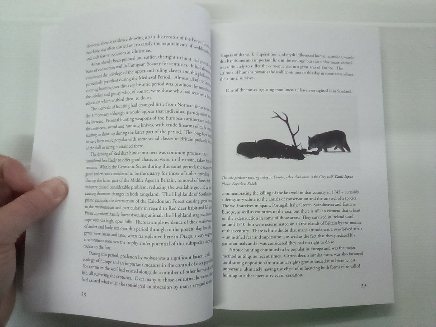Red Deer Part 1 by Bruce Banwell