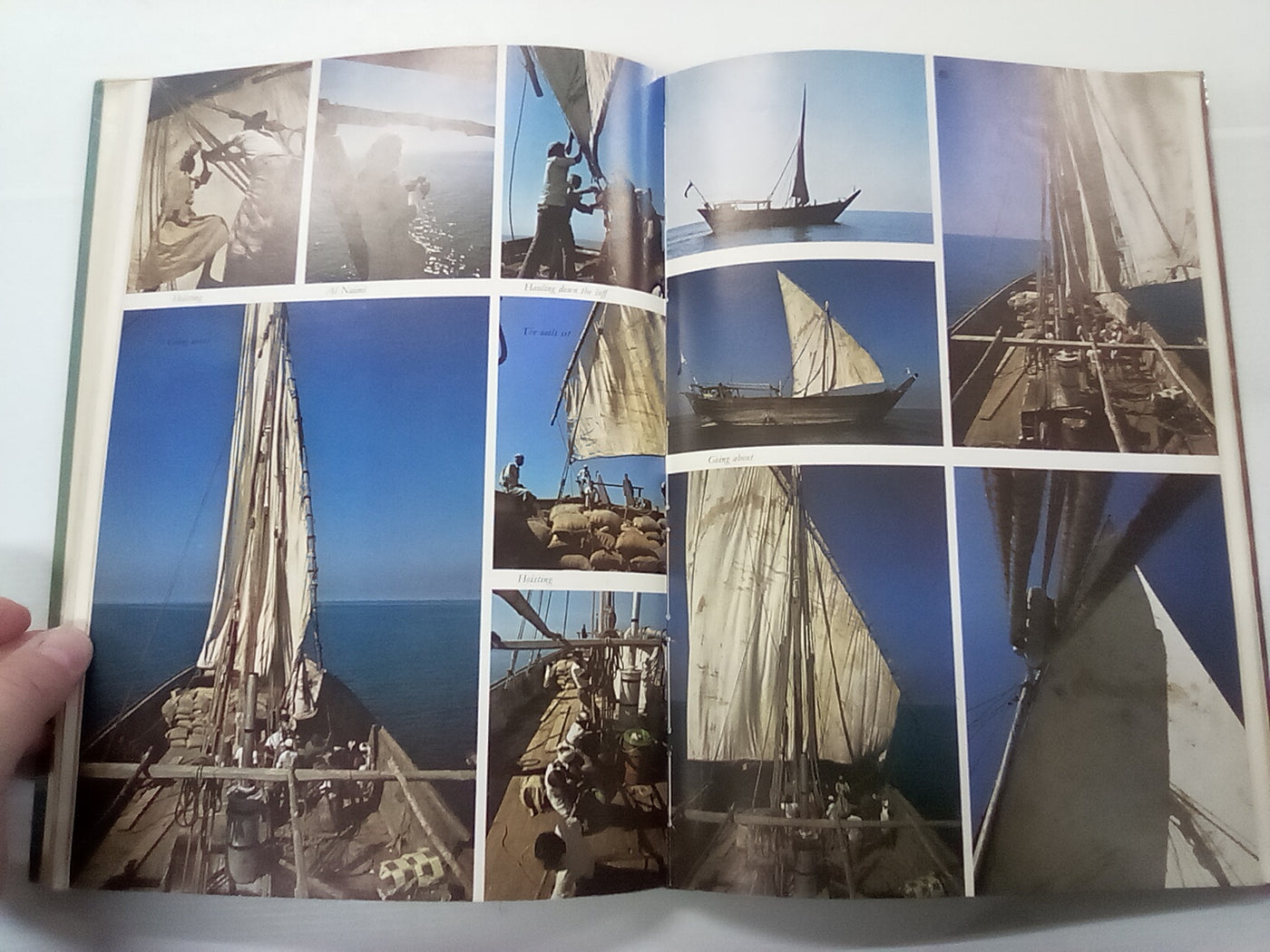 Dhows by David Howarth