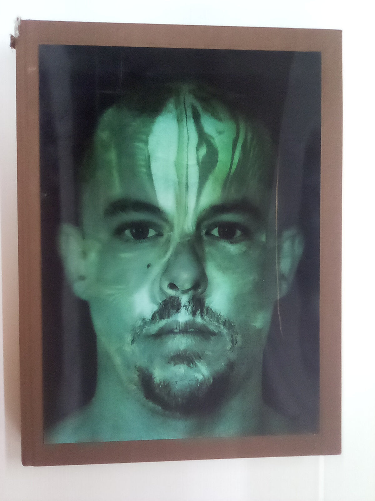 Alexander McQueen - Savage Beauty