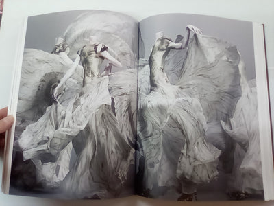 Alexander McQueen - Savage Beauty