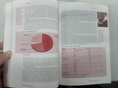 Small Arms Survey 2001: Profiling the Problem
