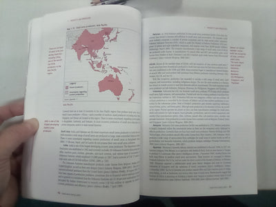 Small Arms Survey 2001: Profiling the Problem