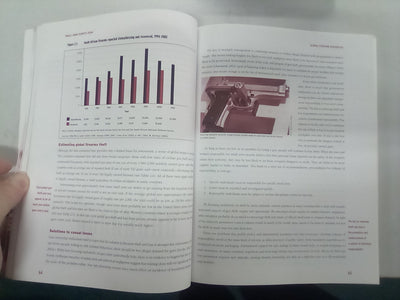 Small Arms Survey 2004 - Rights at Risk