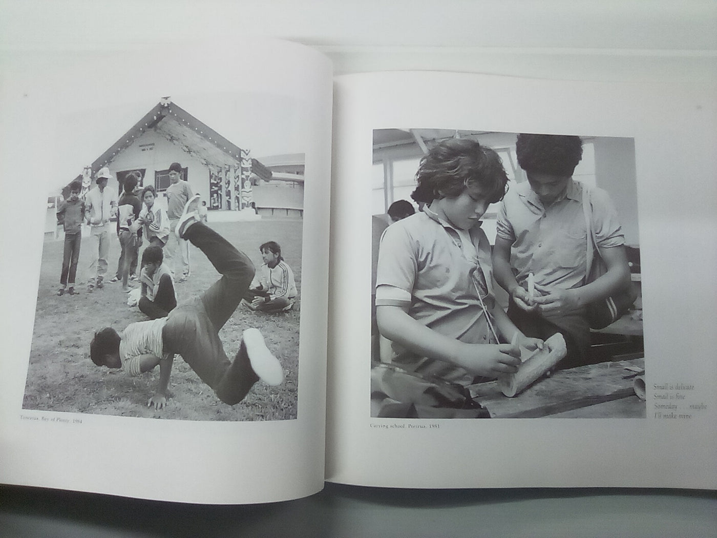 Whaiora - The Pursuit of Life by Ans Westra and Katerina Mataira