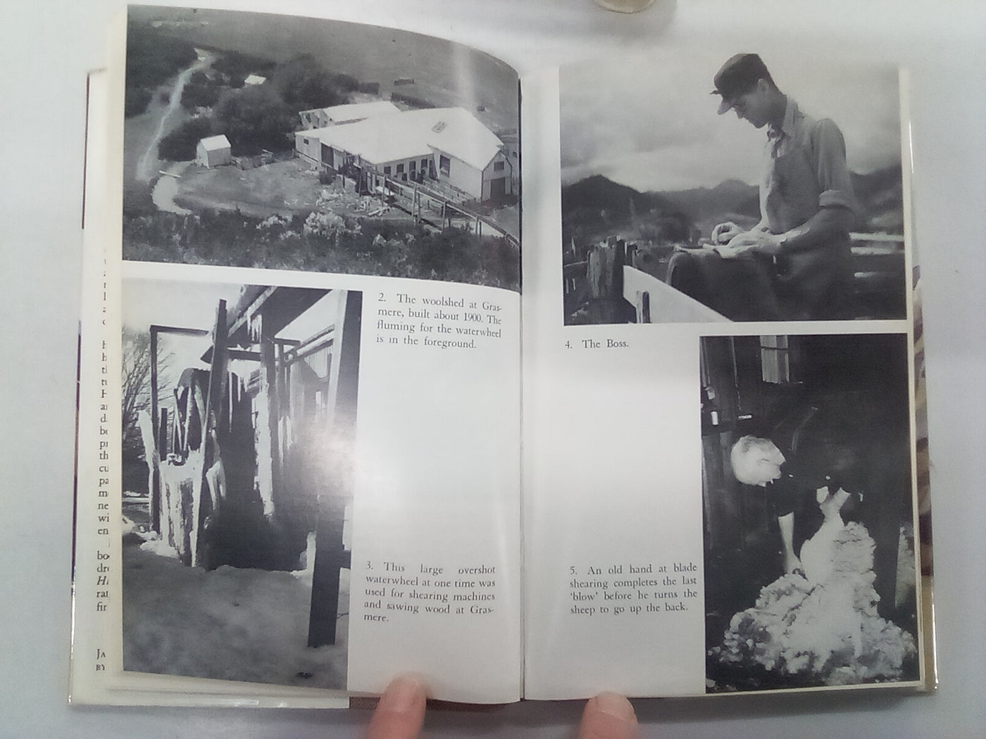 Kingdom in the Hills: the Story of a Struggle