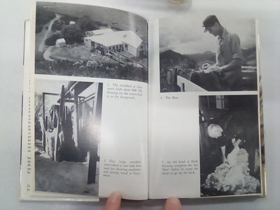 Kingdom in the Hills: the Story of a Struggle