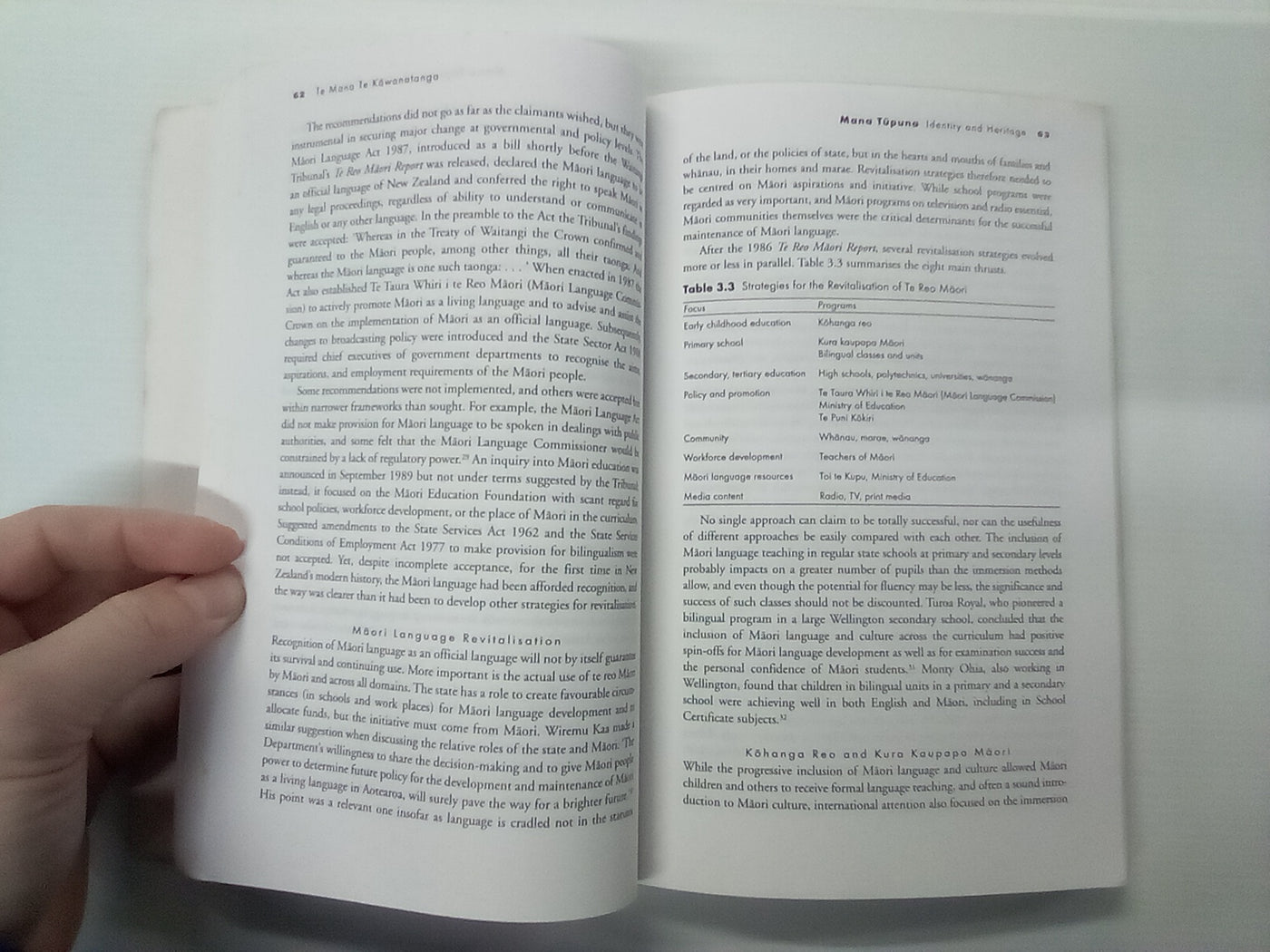 Te Mana, Te Kawanatanga - The Politics of Māori Self-Determination by Mason Durie