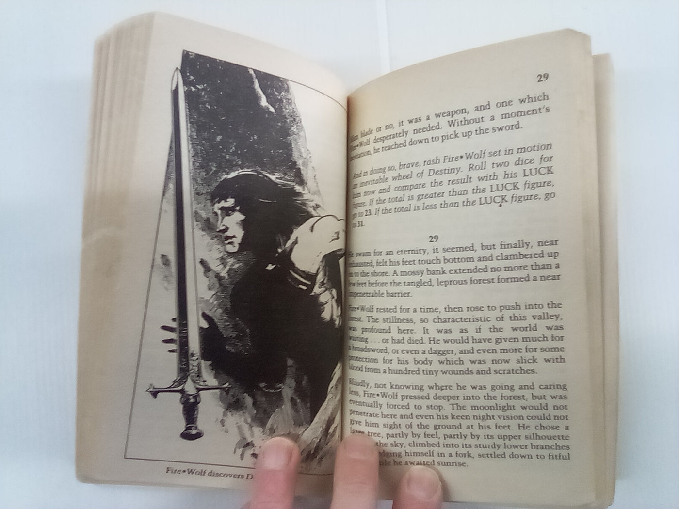Fire Wolf - Sagas of the Demonspawn Book 1 by J H Brennan