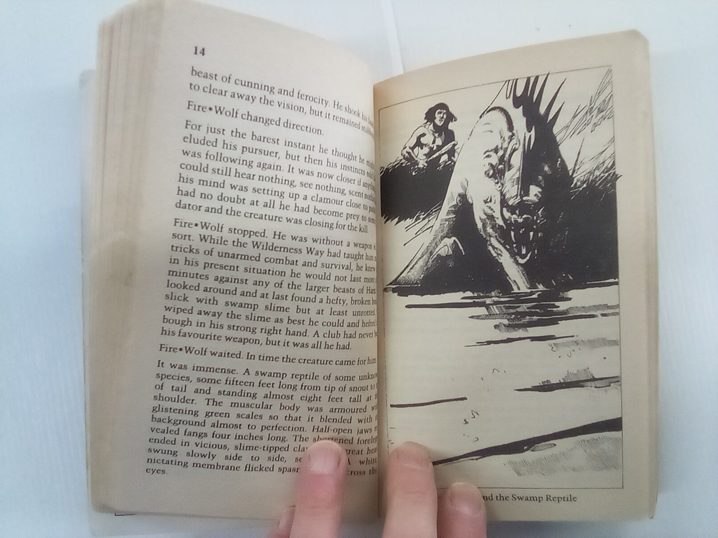 Fire Wolf - Sagas of the Demonspawn Book 1 by J H Brennan